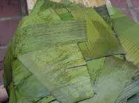 Hoja de Hallaca