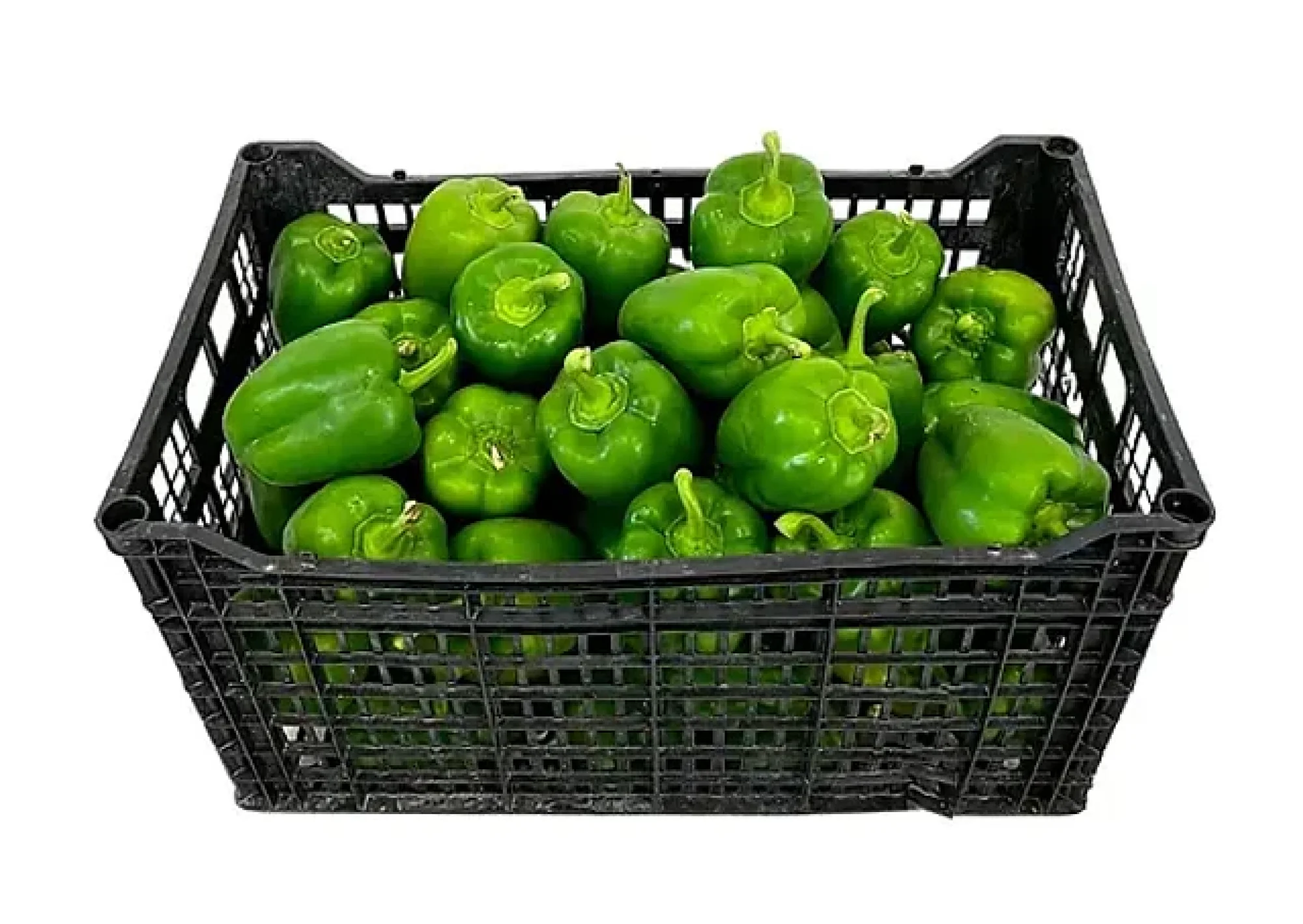 Pimenton Verde